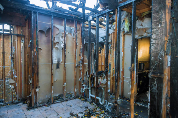 Professional Fire Damage Removal technician working in Bellwood, PA